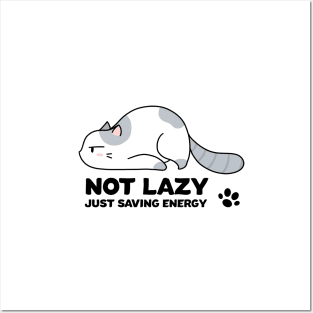 Lazy Cat Posters and Art